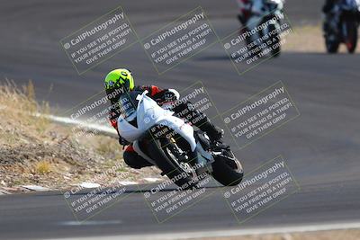 media/Nov-03-2023-2WTD (Fri) [[efa4da844c]]/B Group/1220pm (Turn 4a)/